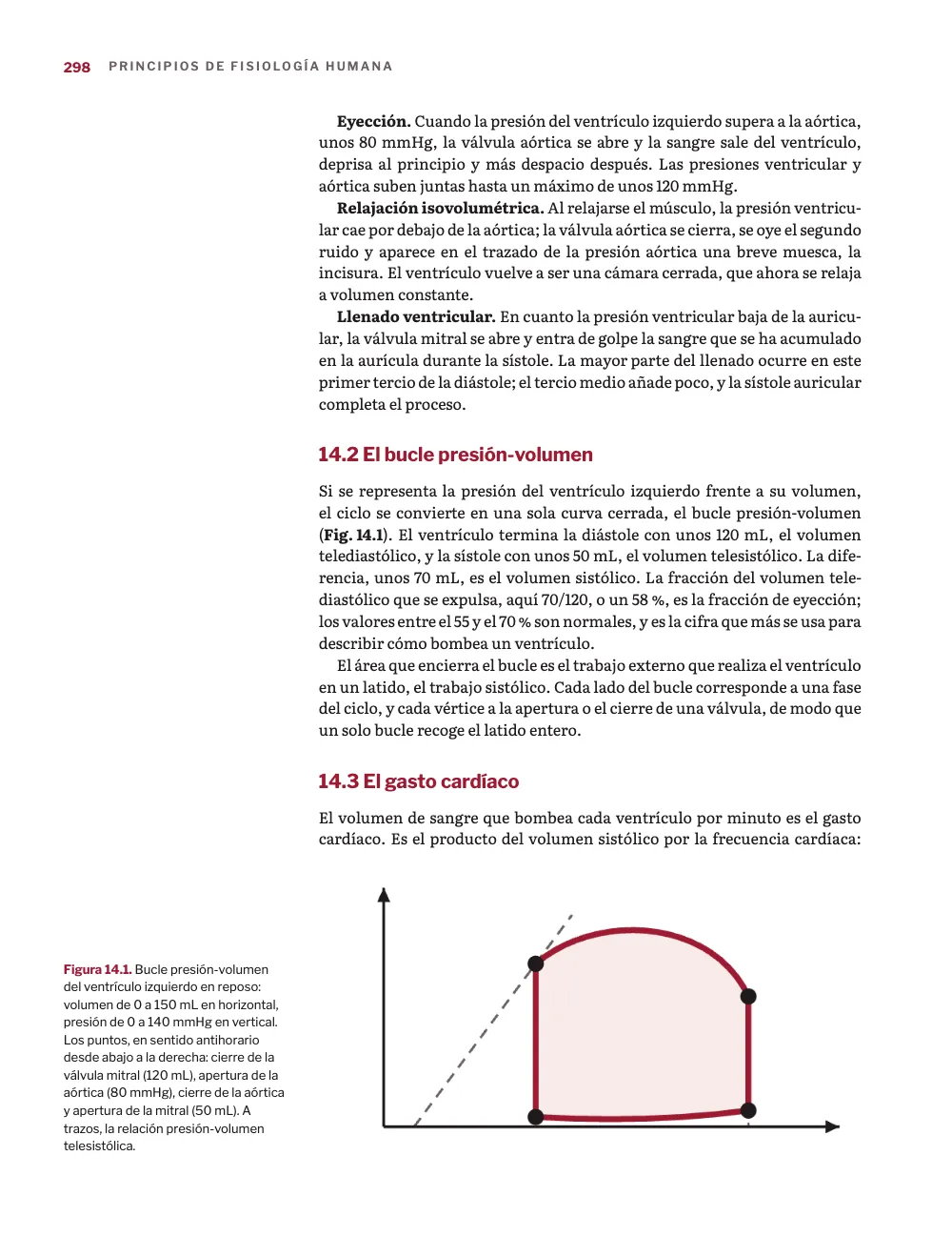 Página 298: 14.2 El bucle presión-volumen. Figura 14.1. Bucle presión-volumen del ventrículo izquierdo en reposo: volumen de 0 a 150 mL en horizontal, presión de 0 a 140 mmHg en vertical. Los puntos, en sentido antihorario desde abajo a la derecha: cierre de la válvula mitral…