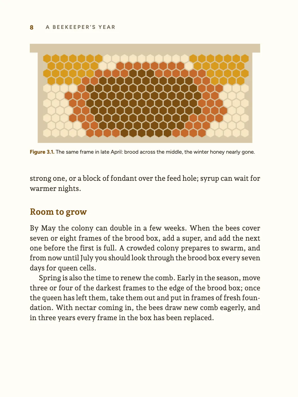 Page 8: Room to grow. Figure 3.1. The same frame in late April: brood across the middle, the winter honey nearly gone.