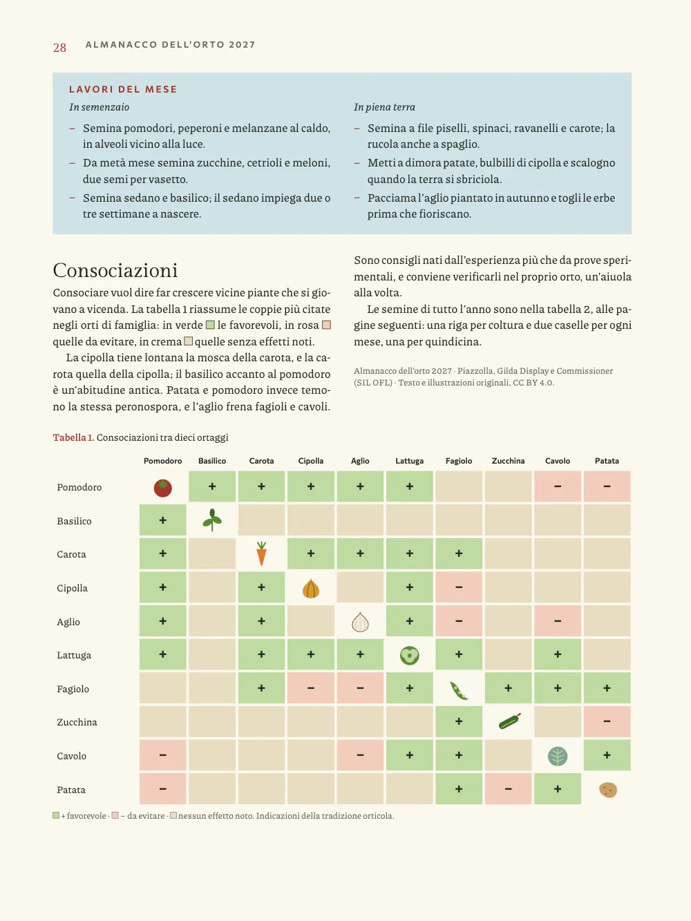 Page 28: Consociazioni. Tabella 1. Consociazioni tra dieci ortaggi. A pale blue box of the month's work in two columns, a short section on companion planting with colour swatches in its text, and a ten-by-ten matrix of green tiles marked +, pink tiles marked − and blank cream ones, with a drawing of each crop on the diagonal.