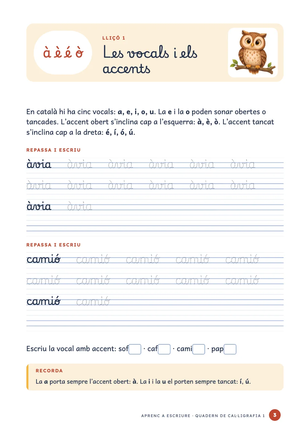 Pàgina d'obertura 3: Les vocals i els accents.