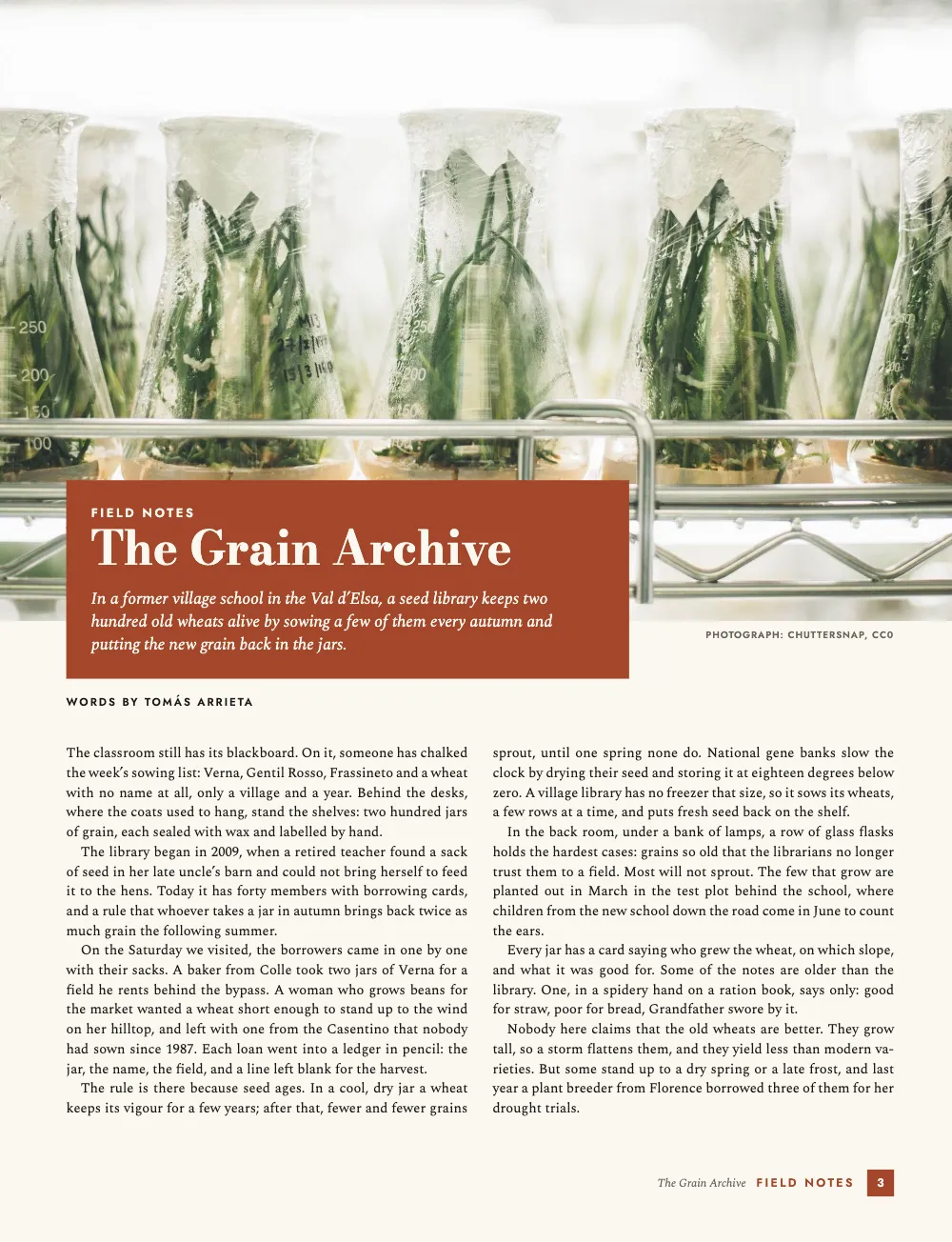 Opening page 3: The Grain Archive. Field notes: glass flasks of green shoots across the top of the page, with a terracotta panel rising into its foot that carries the title and standfirst, then two justified columns and a terracotta folio tab.