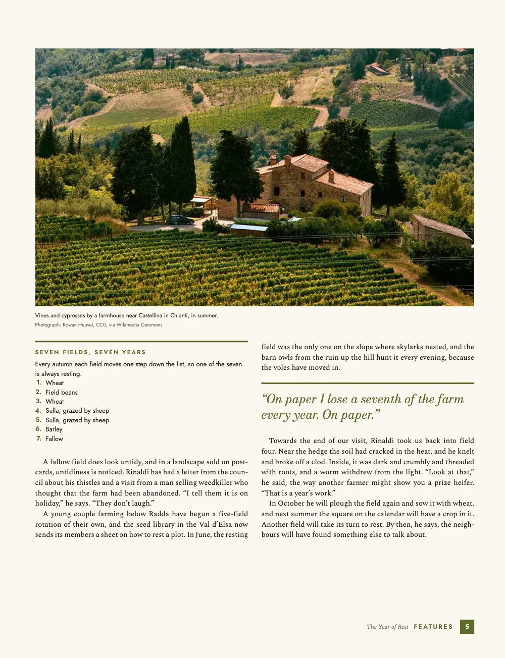 Page 5. Vines and cypresses by a farmhouse near Castellina in Chianti, in summer. The feature continues under a photograph of a farmhouse among vines and cypresses, with an olive fact box listing the seven-year rotation and an olive pull quote.