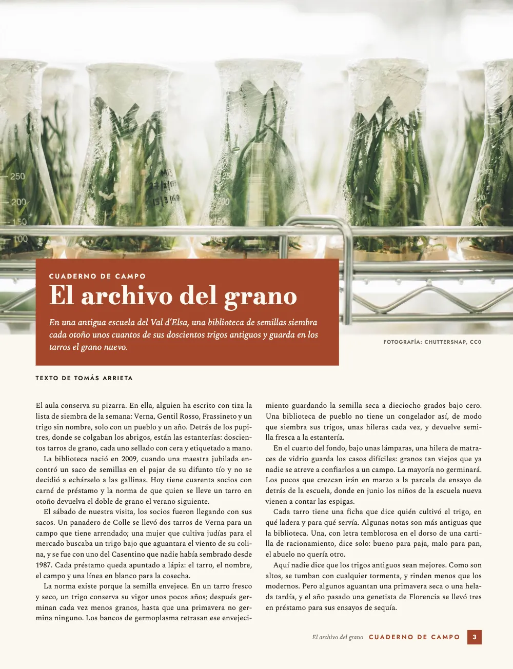 Página de apertura 3: El archivo del grano. Cuaderno de campo: matraces con brotes verdes en lo alto de la página y, montado sobre el pie de la foto, un panel teja con el título y la entradilla; debajo, dos columnas justificadas y la pestaña teja del folio.