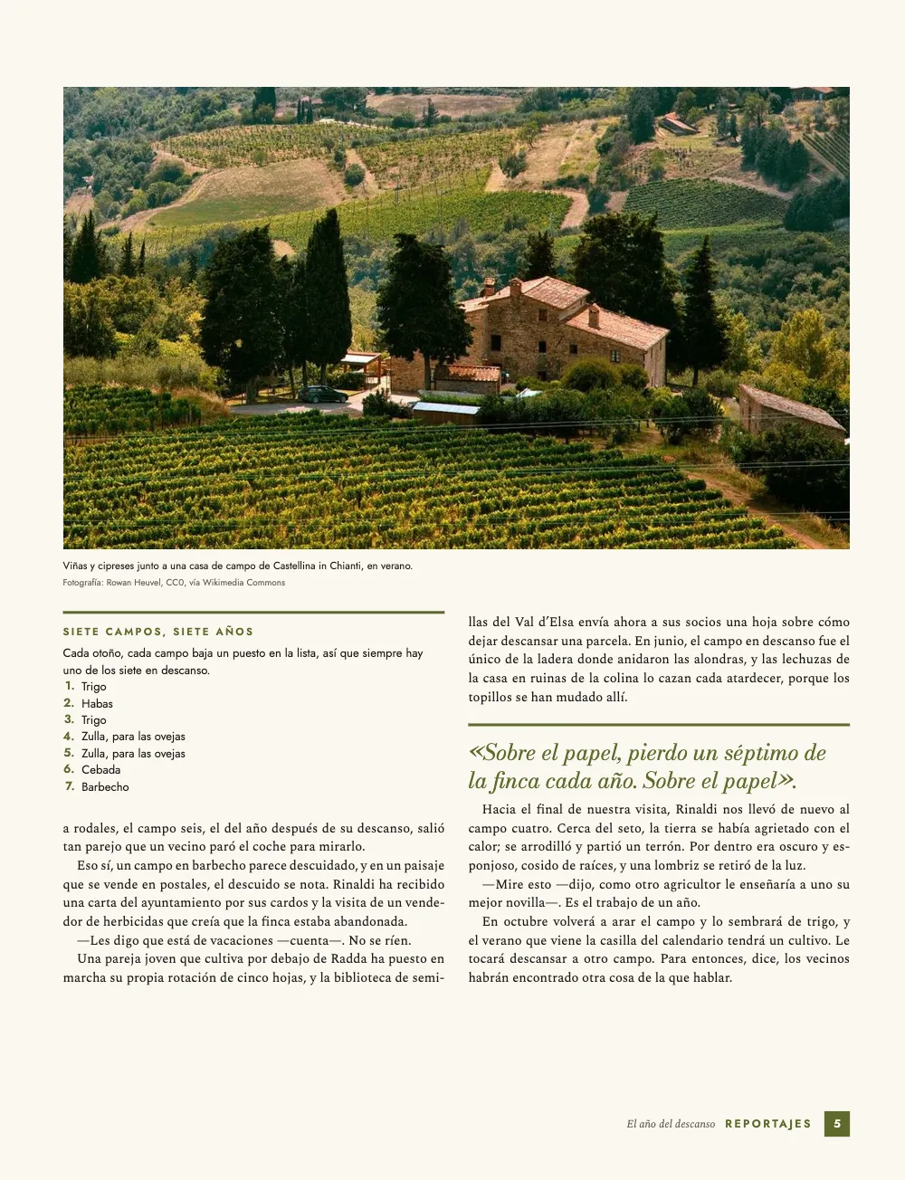Página 5. Viñas y cipreses junto a una casa de campo de Castellina in Chianti, en verano. El reportaje sigue bajo una foto de una casa de campo entre viñas y cipreses, con un recuadro oliva que enumera la rotación de siete años y una cita destacada en oliva.