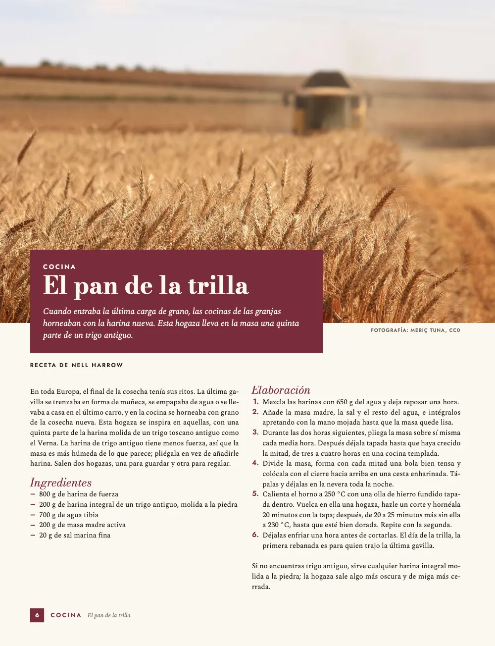 Página de apertura 6: El pan de la trilla. Cocina: trigo maduro y un panel granate montado sobre su pie; debajo, los ingredientes y la elaboración, con rayas y números en granate.