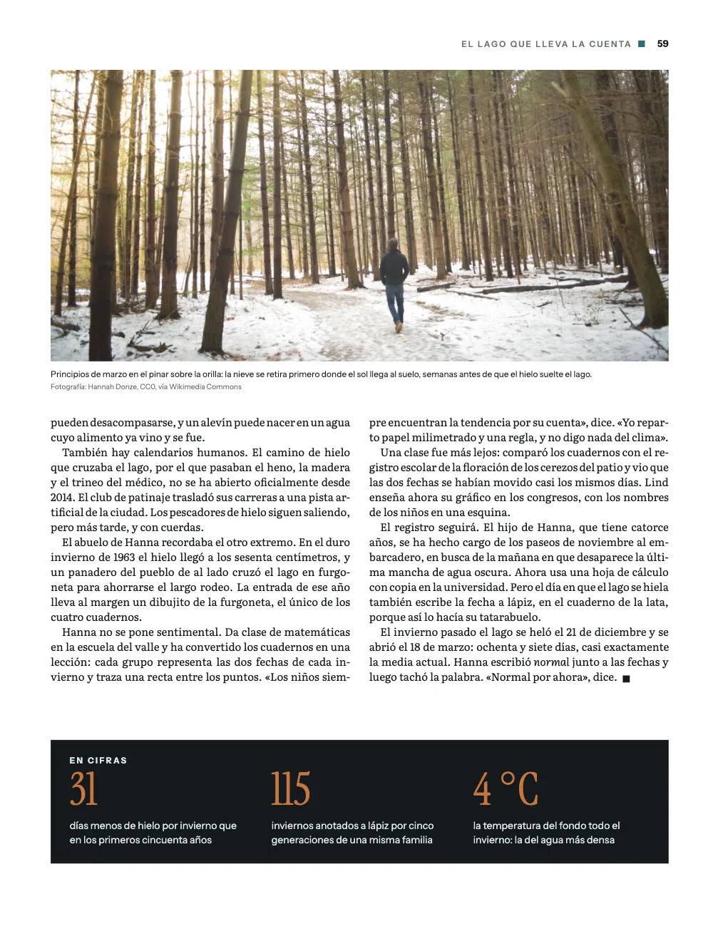 Página 59: 31. Principios de marzo en el pinar sobre la orilla: la nieve se retira primero donde el sol llega al suelo, semanas antes de que el hielo suelte el lago. La página impar: una banda de pinar nevado arriba, el final del reportaje cerrado con un pequeño cuadrado negro y un panel oscuro En cifras al pie.