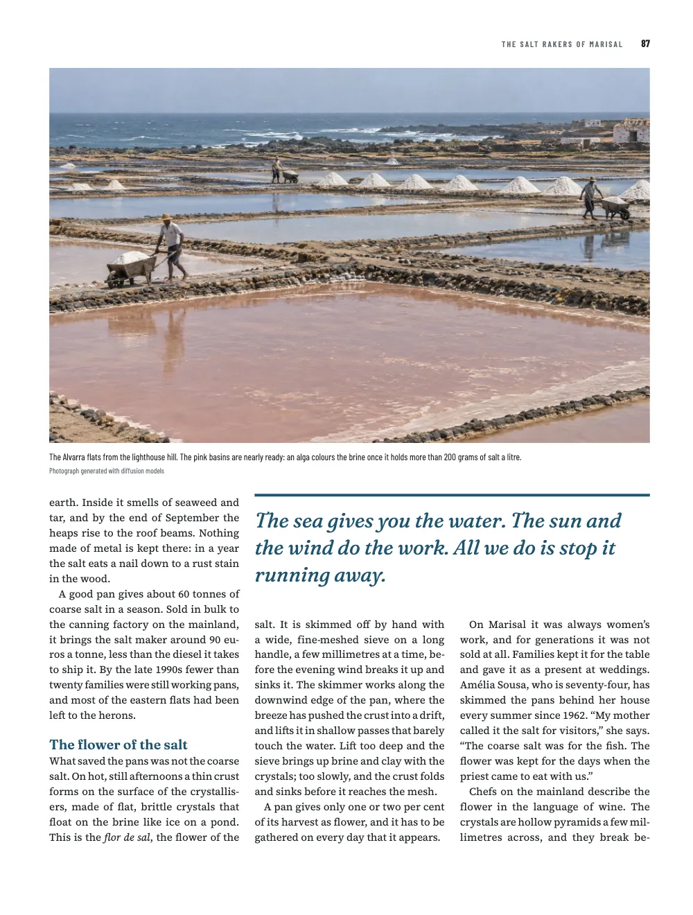 Page 87: The flower of the salt. The Alvarra flats from the lighthouse hill. The pink basins are nearly ready: an alga colours the brine once it holds more than 200 grams of salt a litre.