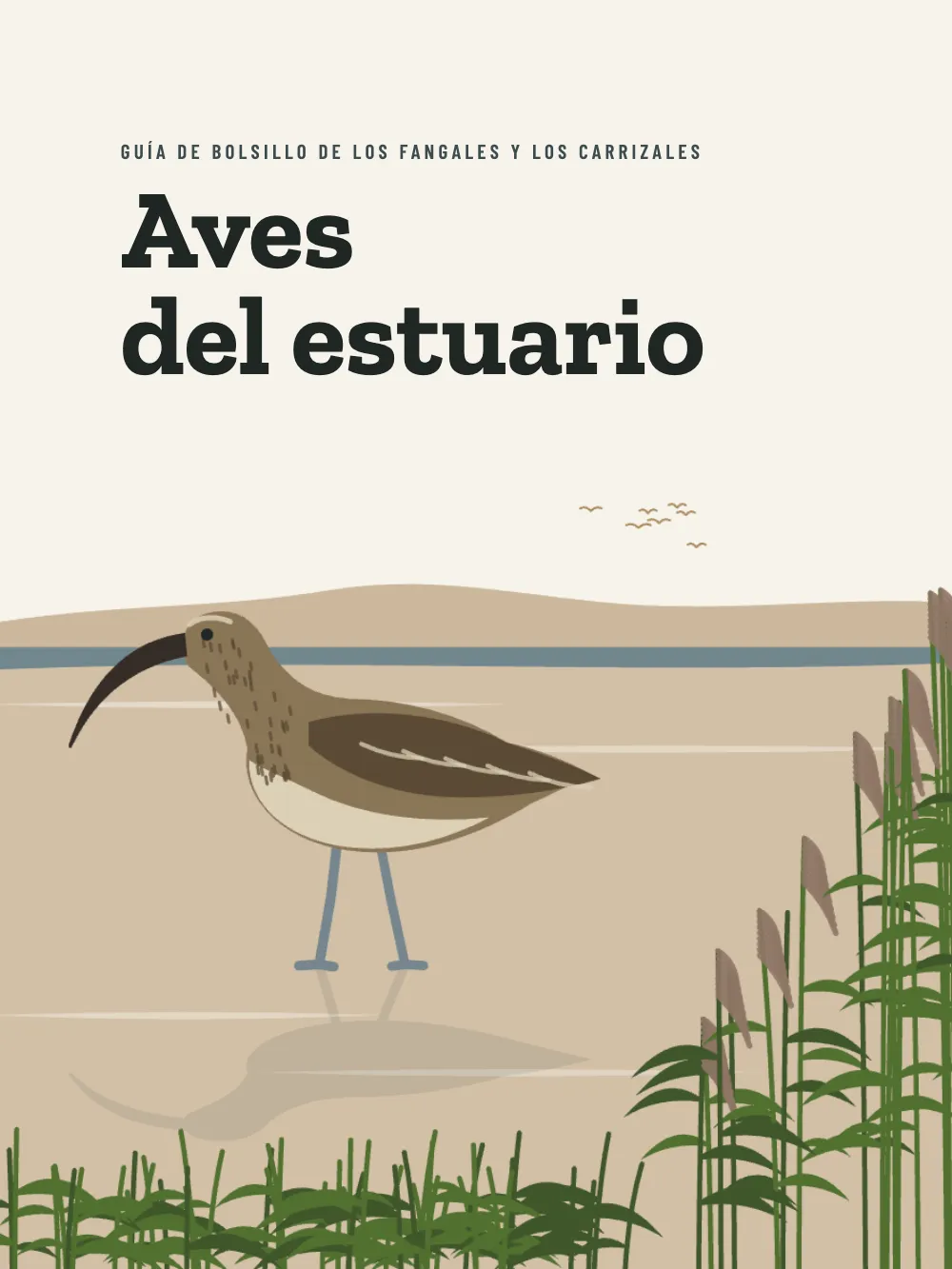 Página de apertura 1: Aves del estuario.