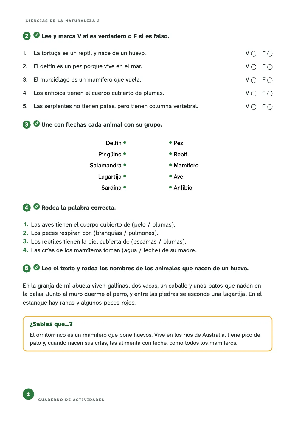 Página 2.