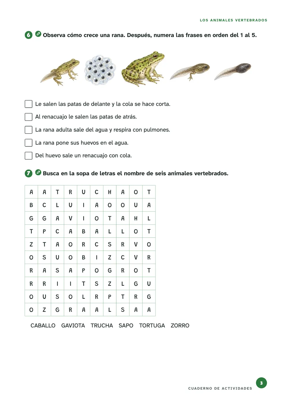 Página 3.