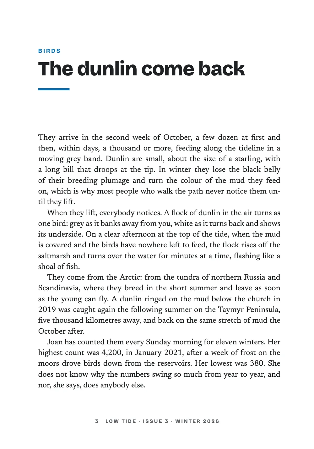 Opening page 3: The dunlin come back.
