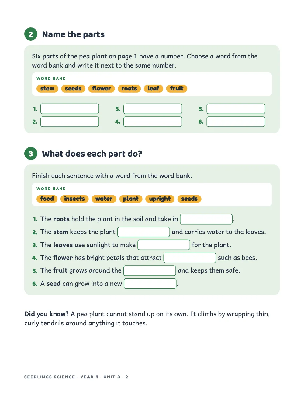 Page 2: 2 Name the parts. Activity 2: a white word bank of yellow chips and six numbered blanks in three columns. Activity 3: a second word bank and six sentences, each with an outlined blank, and a Did you know? note about tendrils.