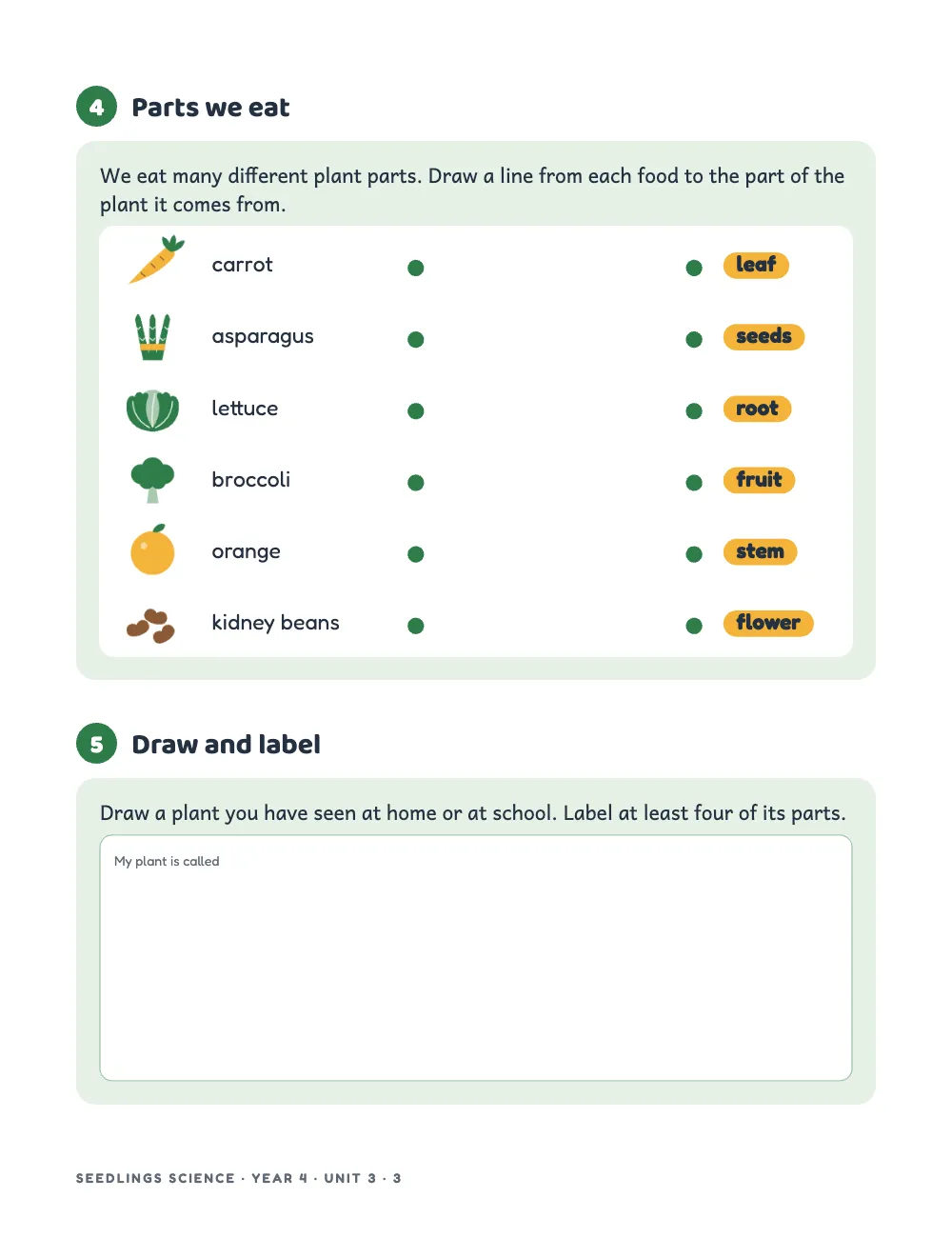 Page 3: 4 Parts we eat. Activity 4: inside its card, a rounded white table of six rows, each with a drawn food and its name on the left, a yellow chip naming a plant part on the right and a wide gap between them with a green dot at each end. Activity 5: a tall answer box to draw and label a plant.