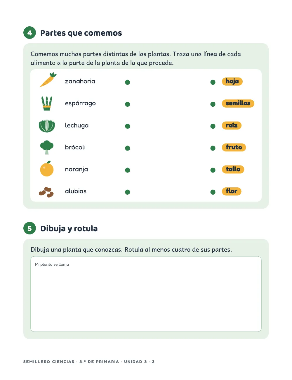 Página 3: 4 Partes que comemos. Actividad 4: dentro de su tarjeta, una tabla blanca de esquinas redondeadas con seis filas; cada una lleva a la izquierda un alimento dibujado y su nombre, a la derecha un chip amarillo con una parte de la planta y, entre ambos, un hueco ancho con un punto verde en cada extremo. Actividad 5: una caja de respuesta alta para dibujar y rotular una planta.